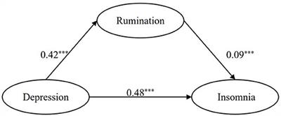 The Association Between Depressive Symptoms and Insomnia in College Students in Qinghai Province: The Mediating Effect of Rumination